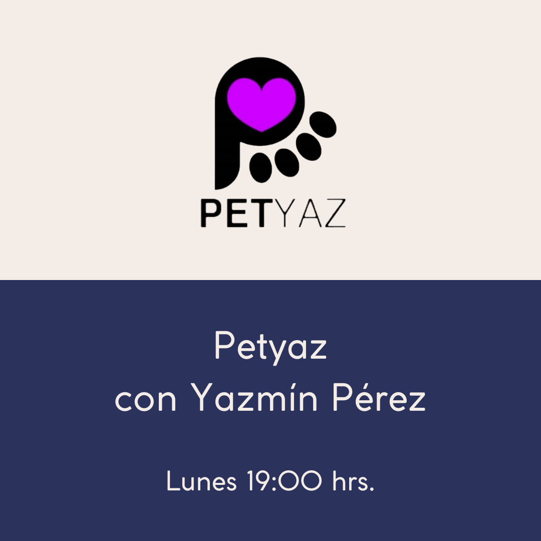 PETYAZ